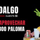 BAMBOO PALOMA