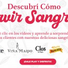  ¡Descubrí Cómo Servir Sangrías!